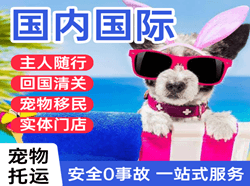 丹霞机场货运国际宠物托运 【国